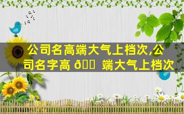 公司名高端大气上档次,公司名字高 🐠 端大气上档次